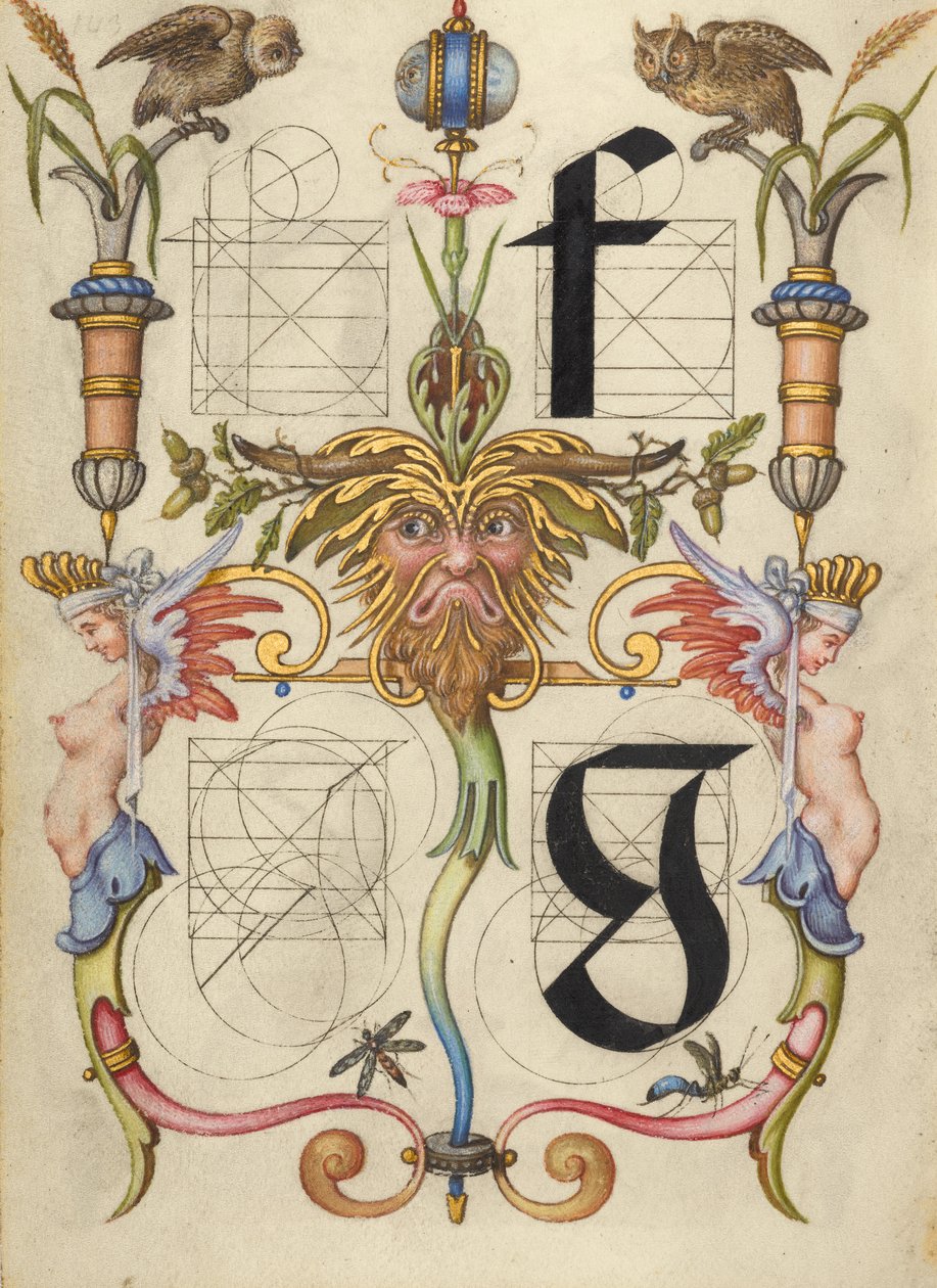 Anleitung zum Konstruieren der Buchstaben f und g von Joris Hoefnagel