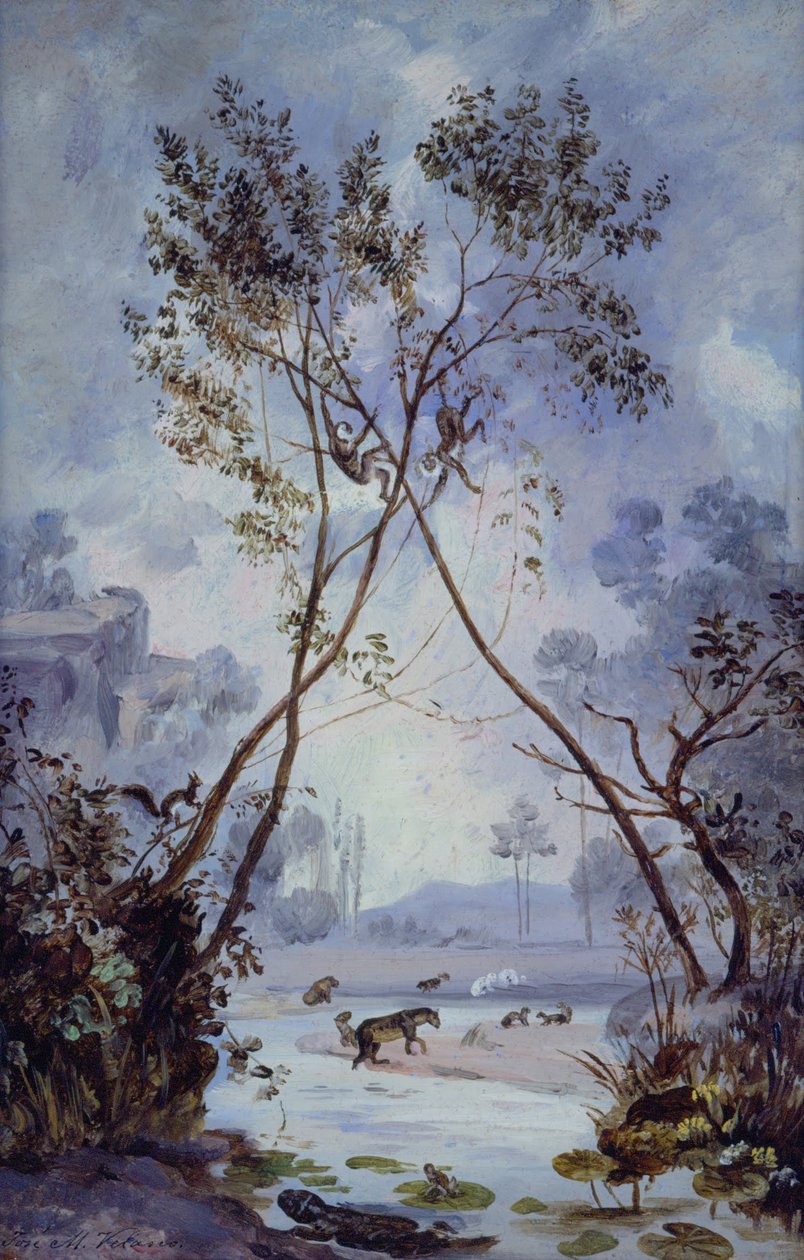Flora und Fauna aus dem Miozän des Känozoikums. Evolution des kontinentalen Lebens auf der Erde von José Marí Velasco