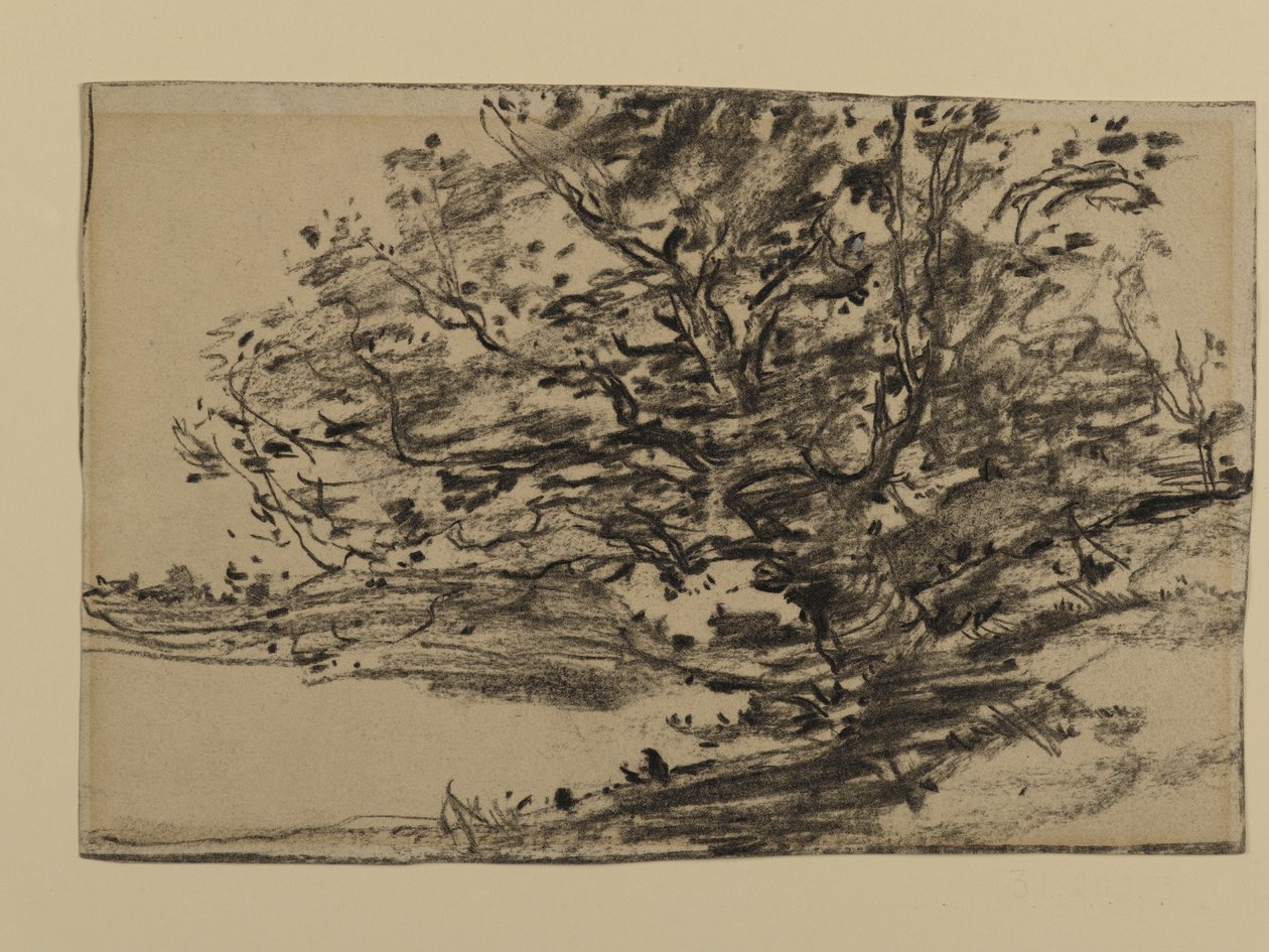 Studie von Bäumen, 1870 von Joseph Frank Currier