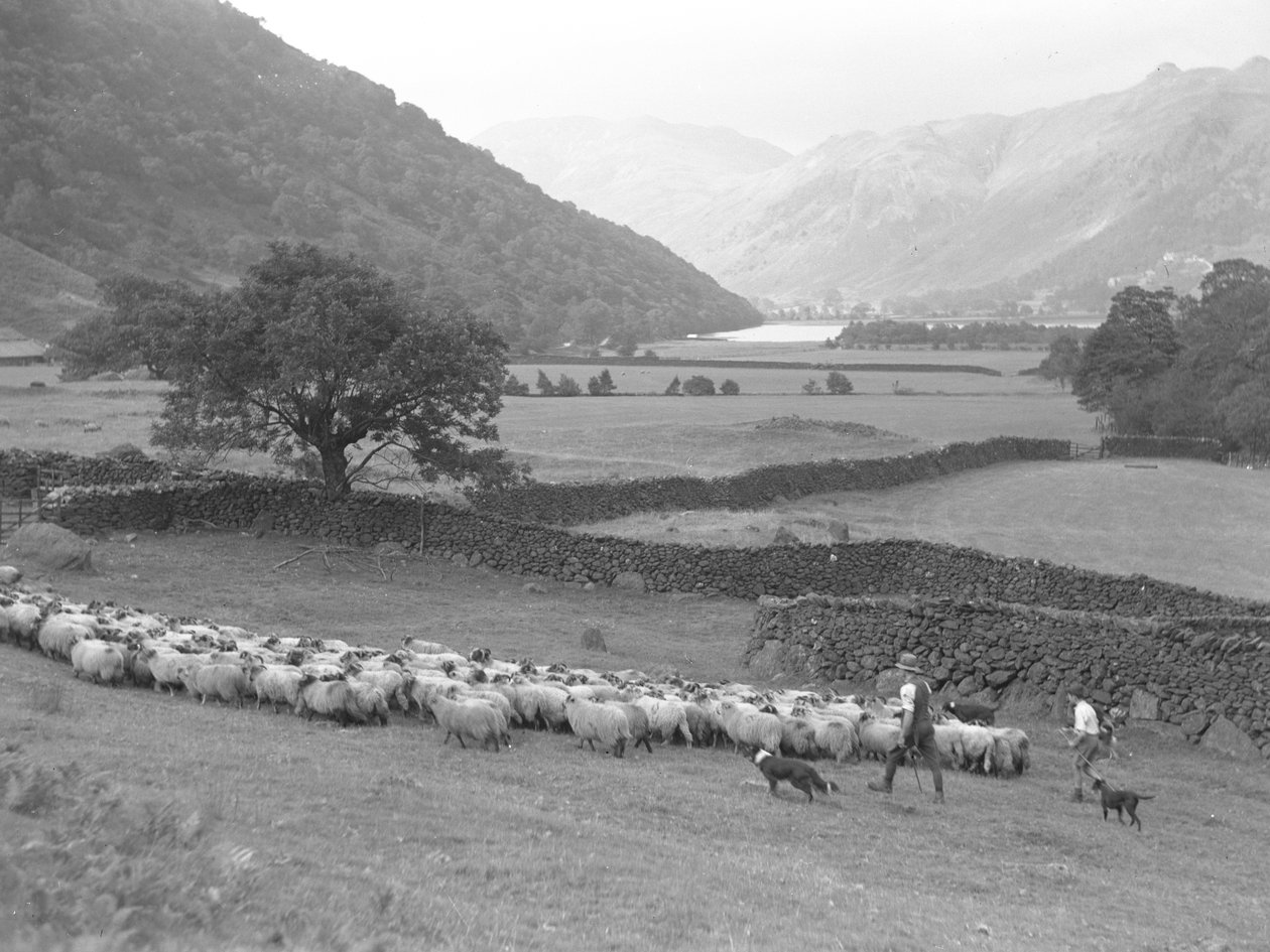 Ein Bauer, ein Junge und zwei Hunde treiben eine Schafherde durch ein Feld, See und Hügel im Hintergrund von Joseph Hardman