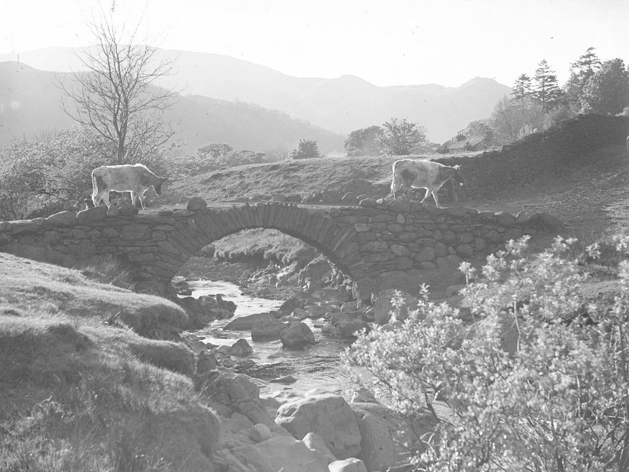 Kühe gehen über eine Steinbrücke mit Bach darunter von Joseph Hardman