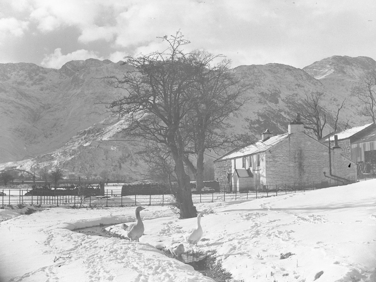 Gänse im Vordergrund neben kleinem Bach mit schneebedecktem Boden und Gebäuden im Hintergrund von Joseph Hardman