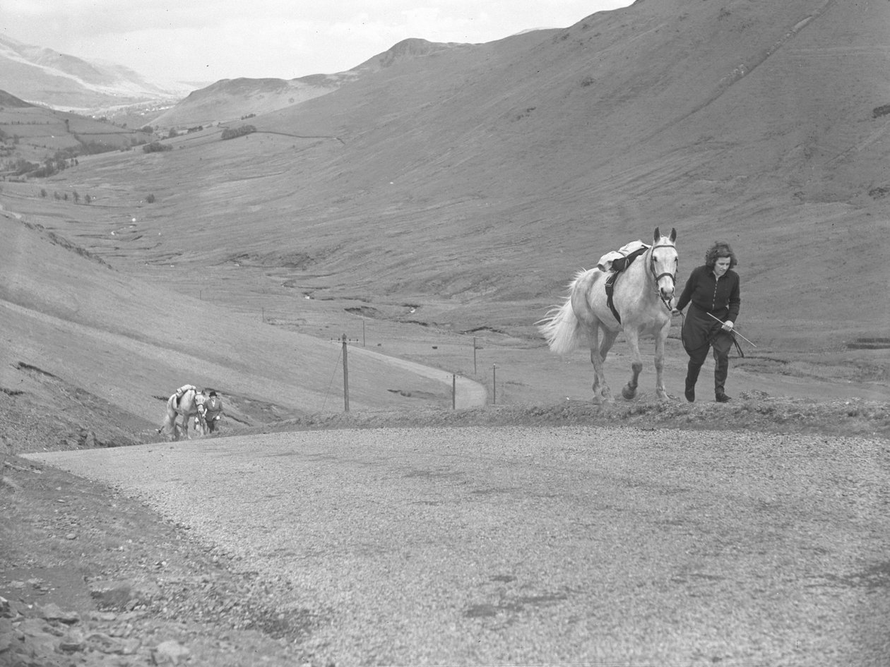 Pferde werden von Reitern, die abgestiegen sind, den Bergpass hinaufgeführt von Joseph Hardman