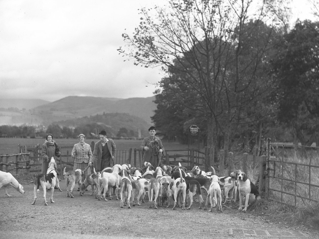 Zwei Männer und zwei Frauen stehen mit einer Gruppe von Hunden von Joseph Hardman