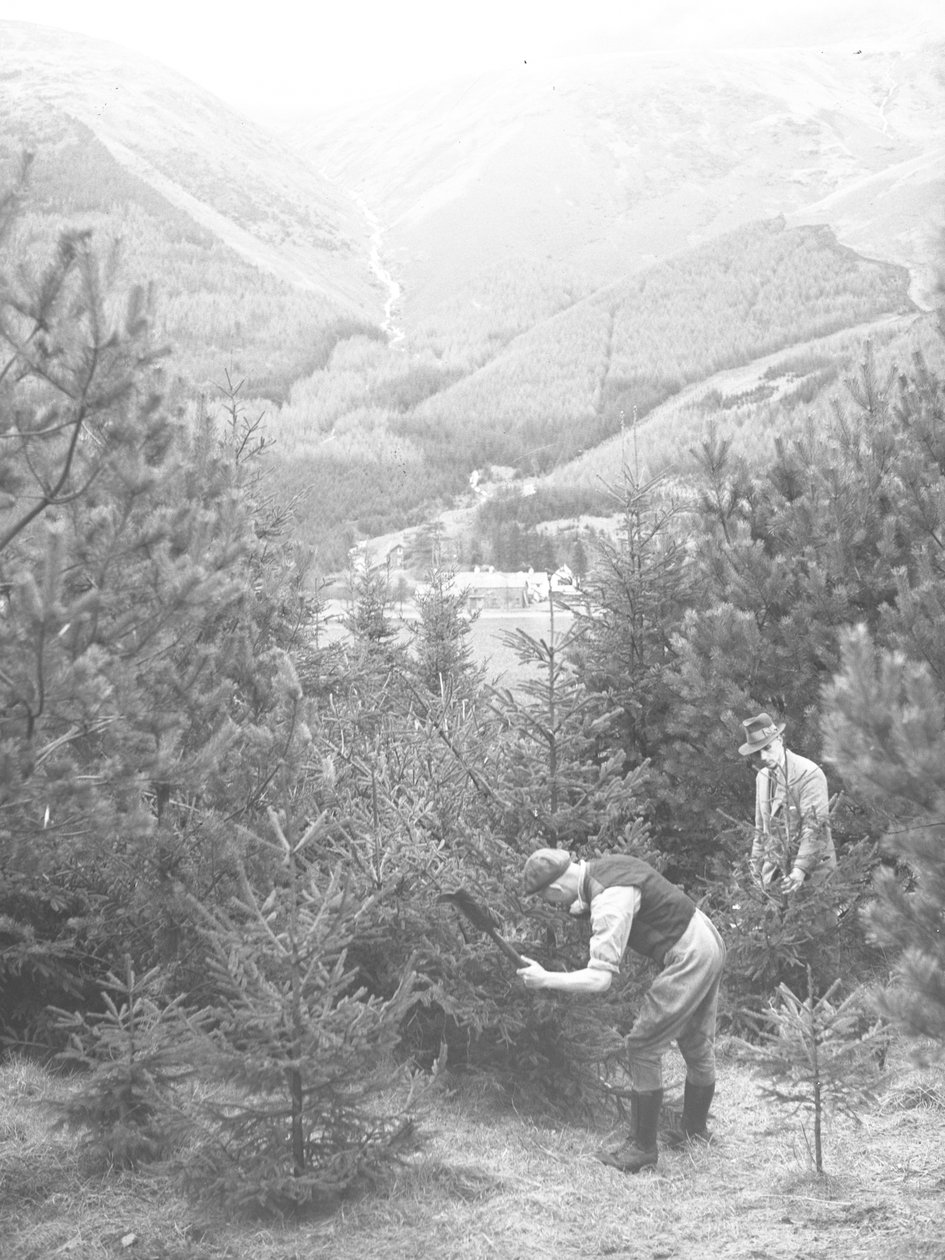 Zwei Männer fällen einen Weihnachtsbaum mit einer Axt bei Thirlmere von Joseph Hardman