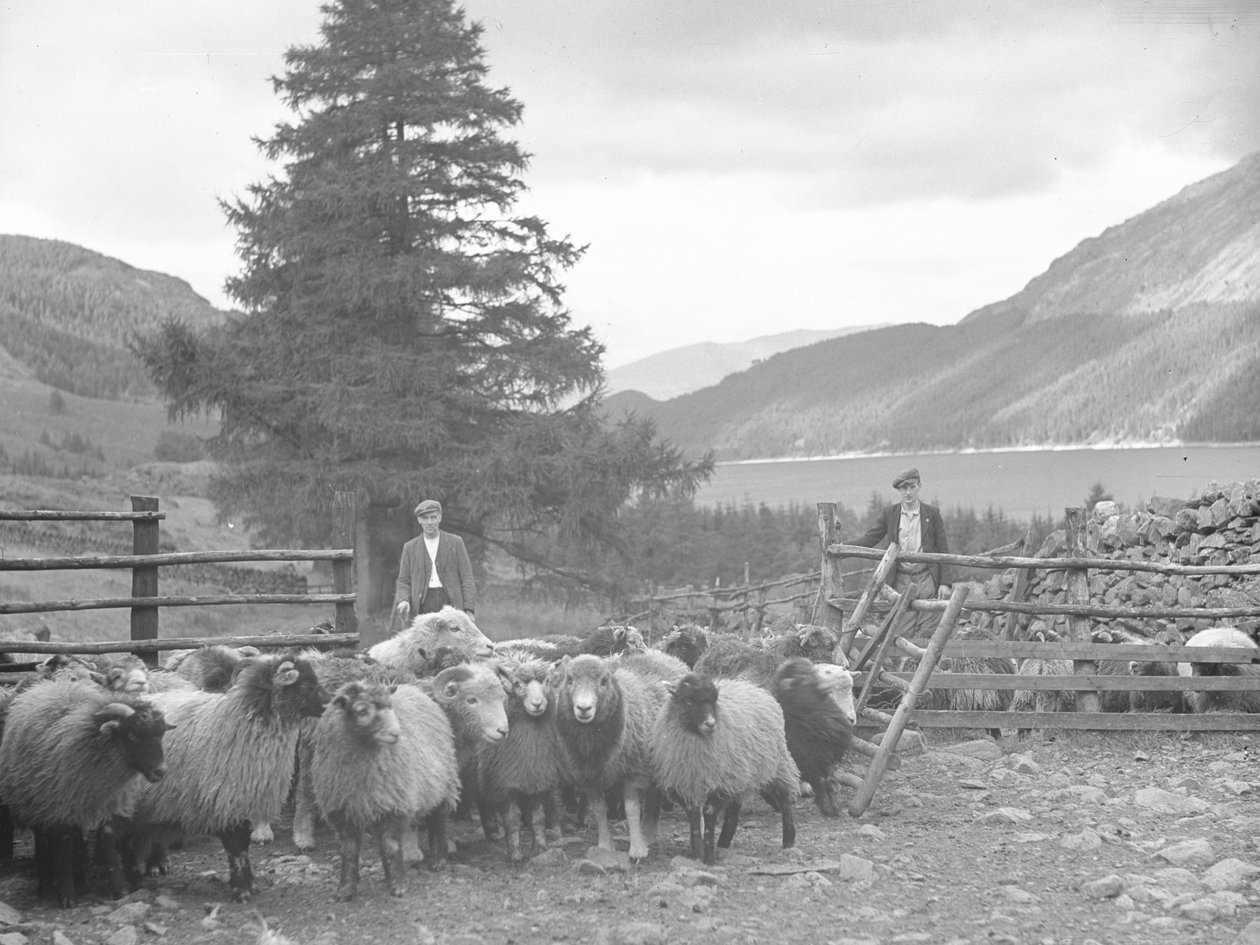 Zwei Schäfer mit einer Schafherde und Thirlmere dahinter von Joseph Hardman
