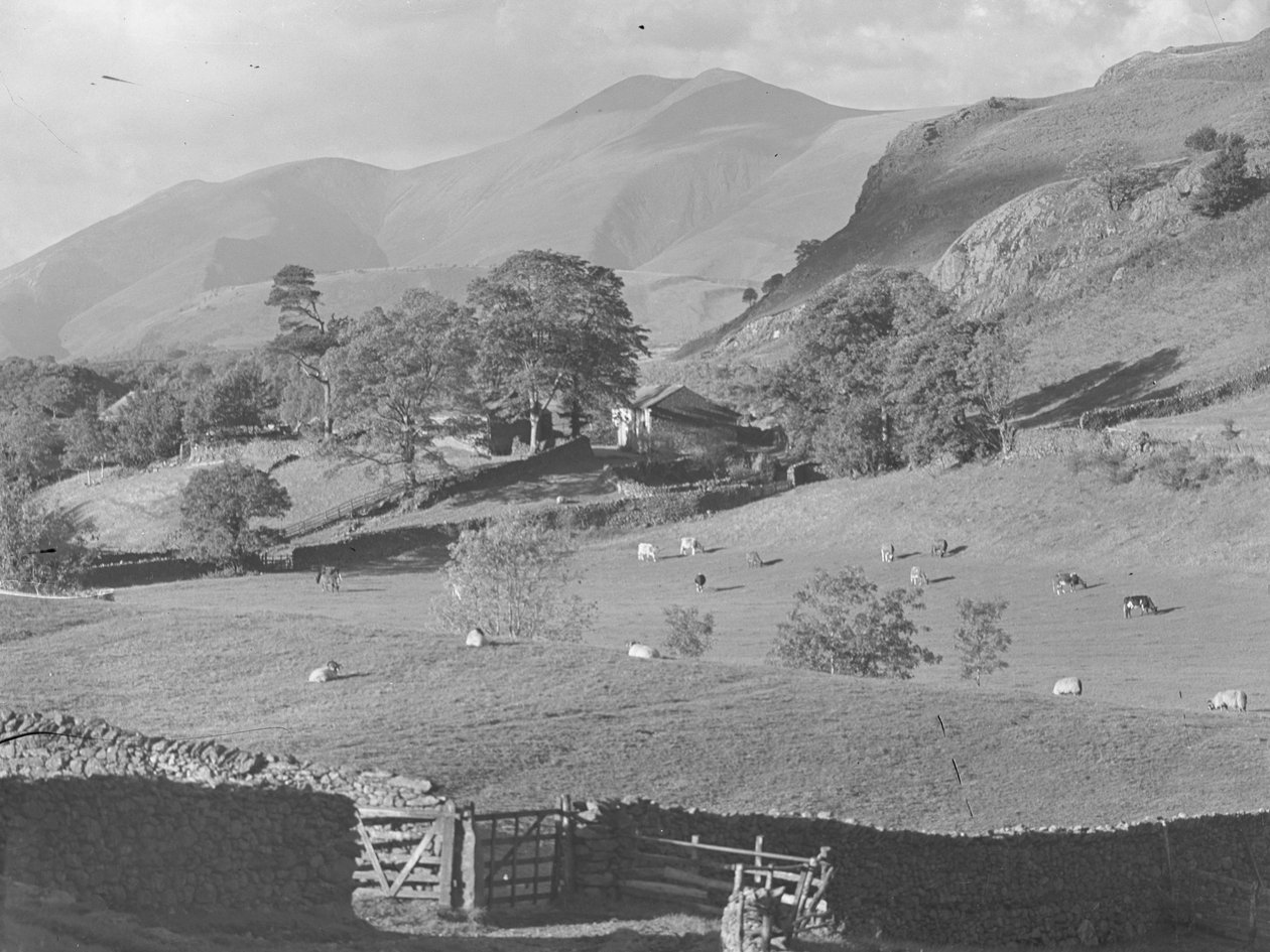 Blick über Felder zu einem Bauernhof bei Thirlmere mit Schafen und Kühen von Joseph Hardman