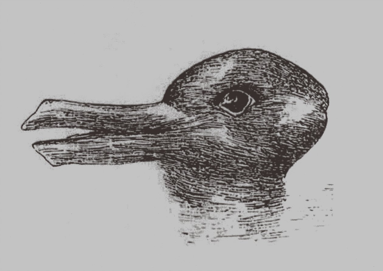 Ente-Kaninchen-Illusion. Aus: Jastrow, J. Das Auge des Geistes. Popular Science Monthly, 1899 von Joseph Jastrow