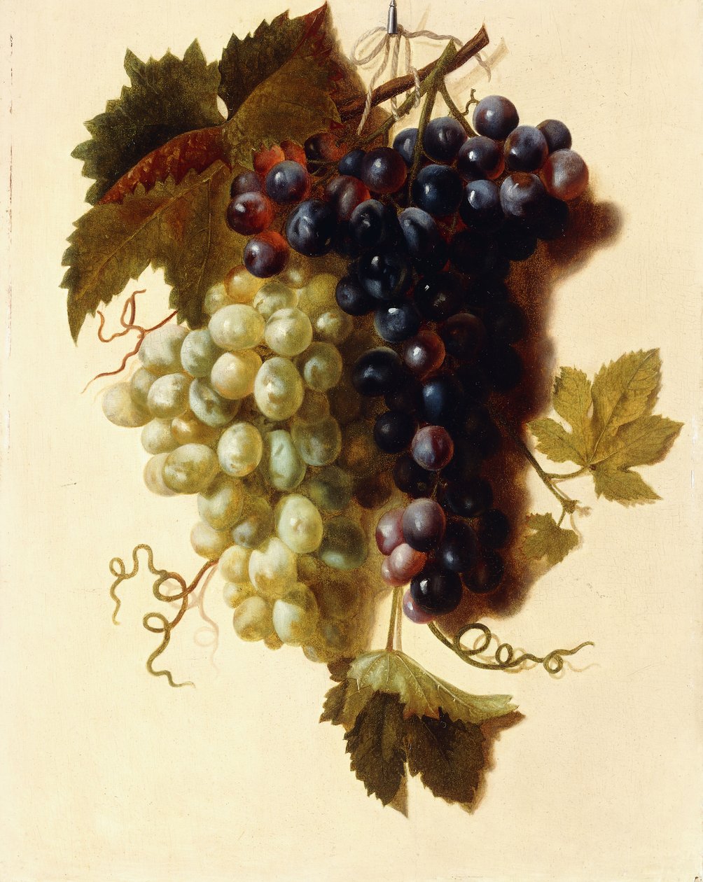 Bündel grüner und roter Trauben, die an einem Seil hängen, ca. 1796 von Joseph Laurent Malaine