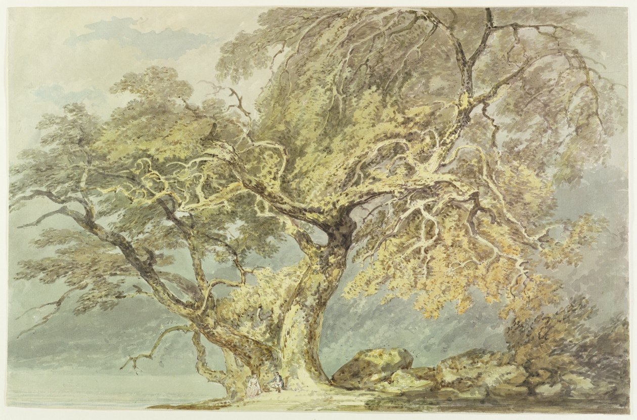 Ein großer Baum, ca. 1796 von Joseph Mallord William Turner