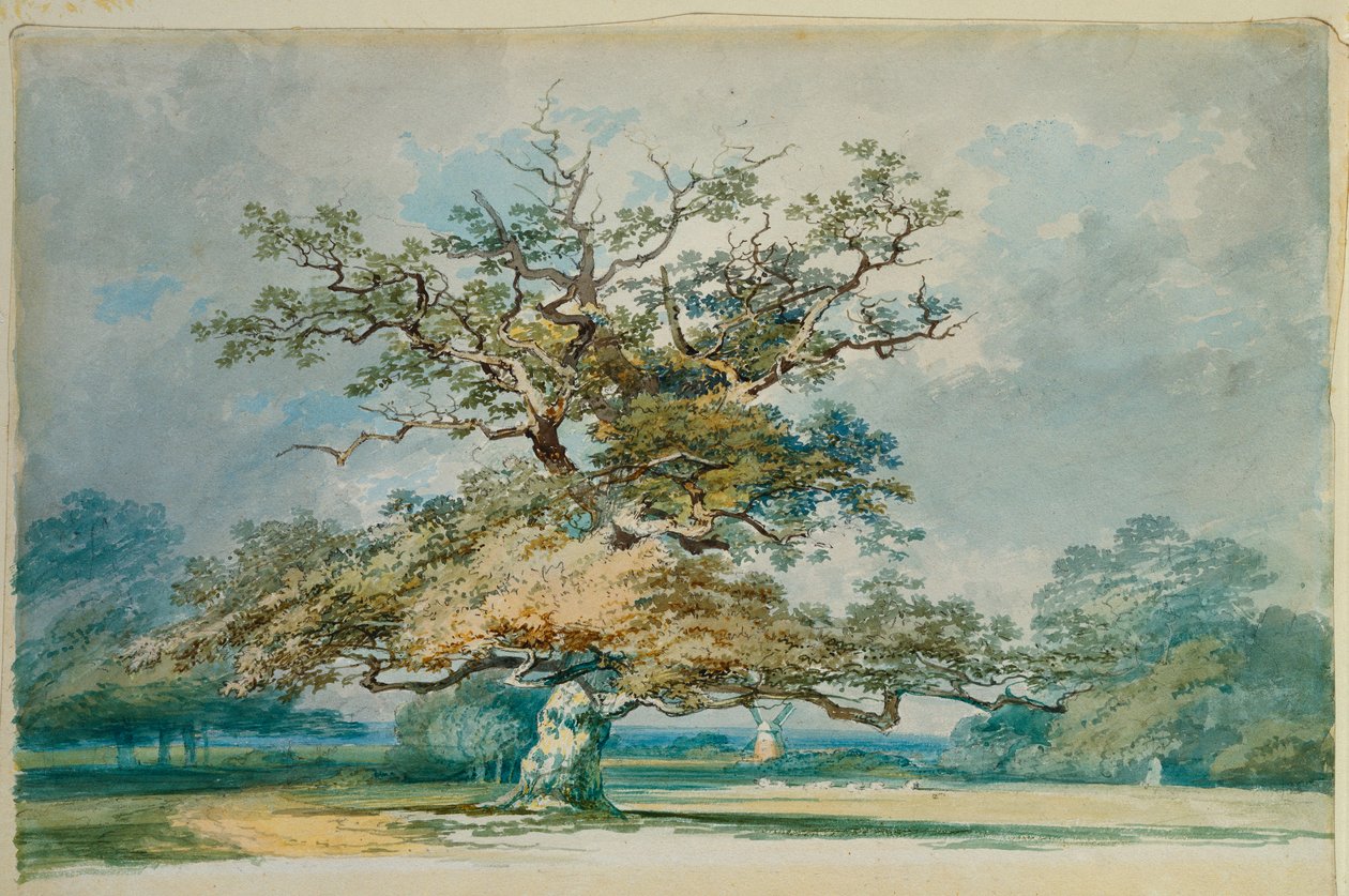 Eine Landschaft mit einer alten Eiche von Joseph Mallord William Turner