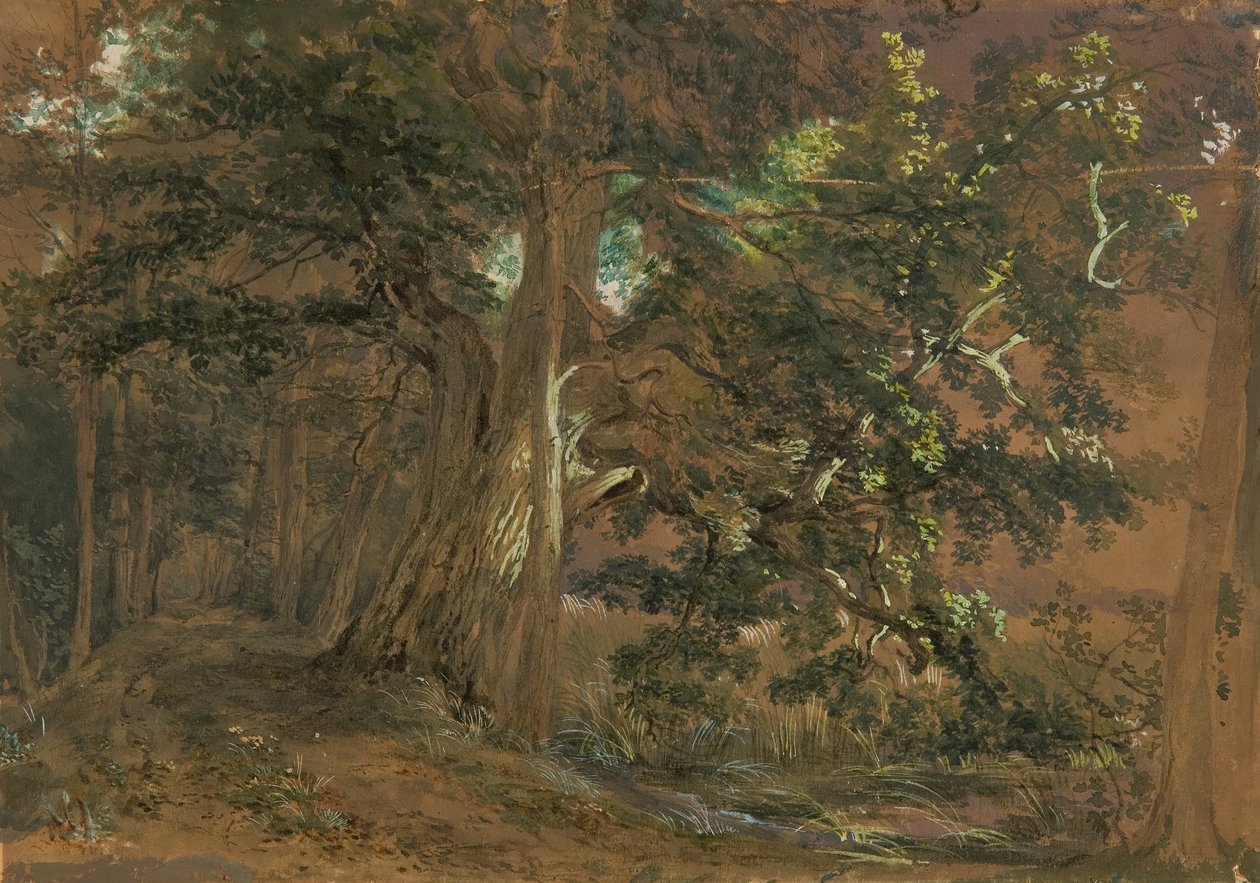 Waldinneres bei Lundenburg (Ahorngruppe an einem Gebirgssee) von Joseph Martin Höger