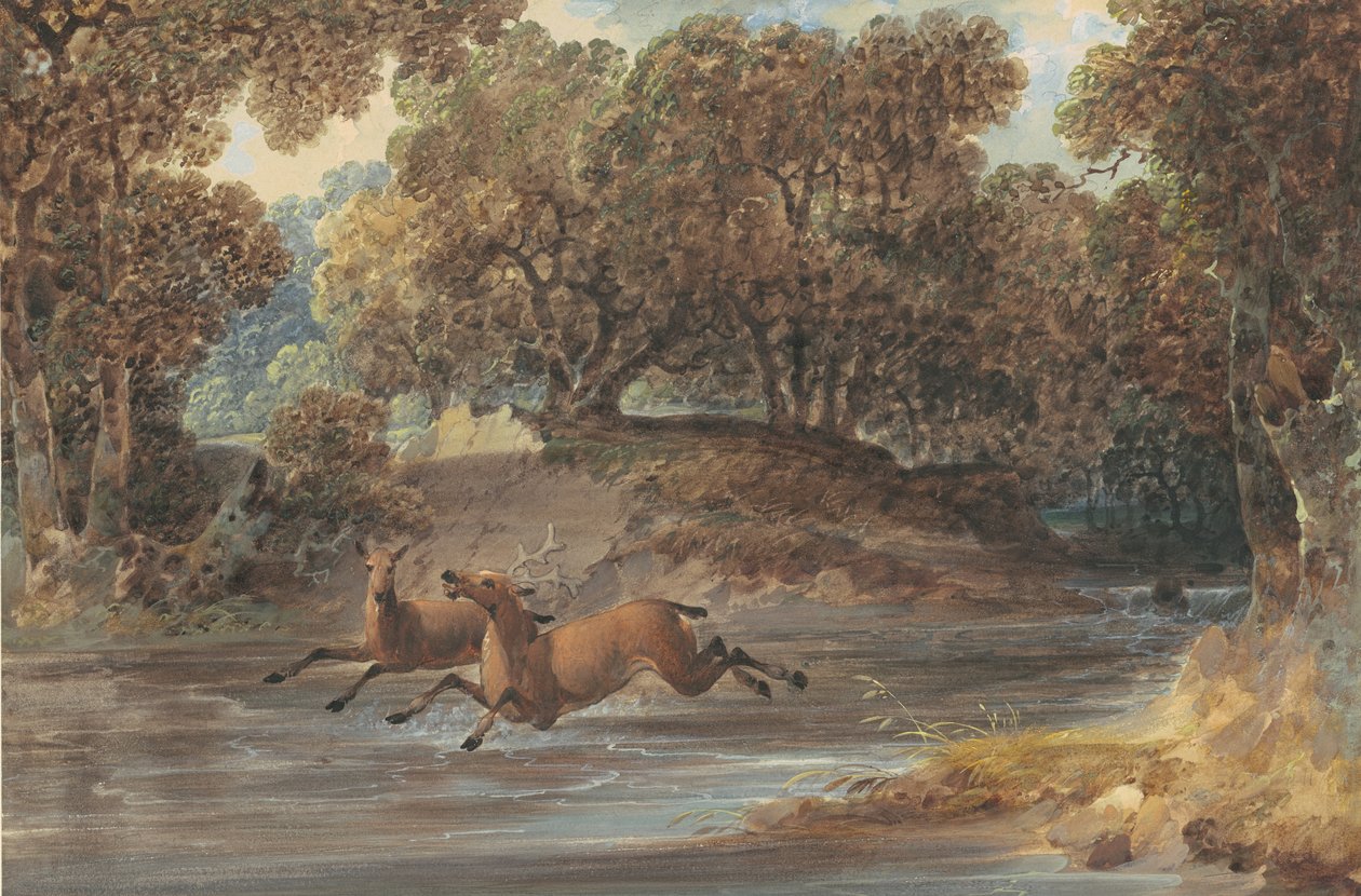 Landschaft mit Hirschen, North Carolina, ca. 1820 von Joshua H. Shaw