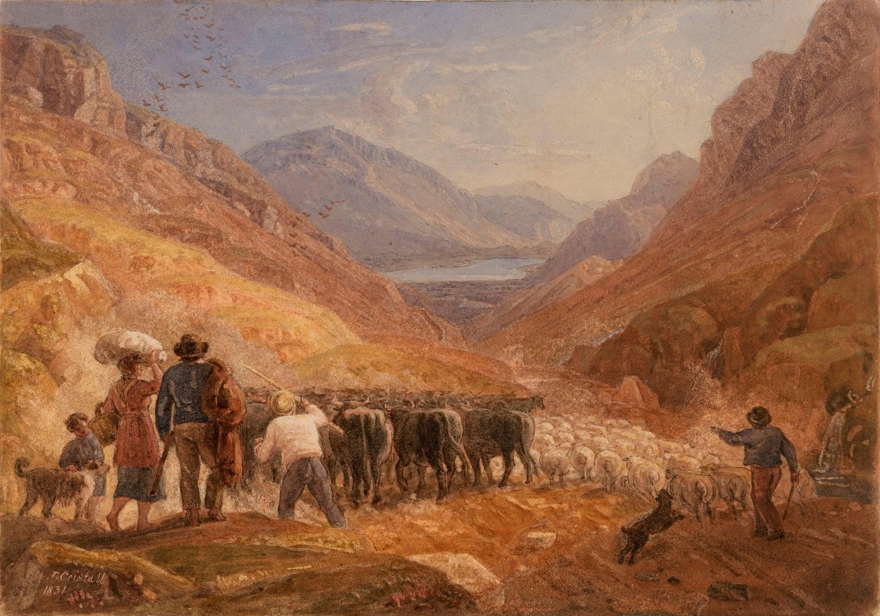 Hirten treiben Rinder und Schafe durch den Tal-y-Llyn-Pass, Wales von Joshua Cristall