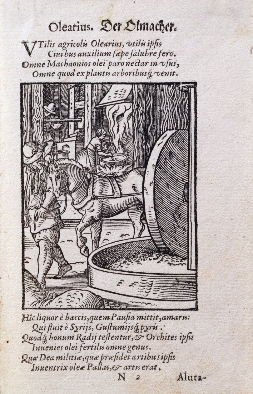 Ölmacher, Illustration aus der lateinischen Ausgabe von 