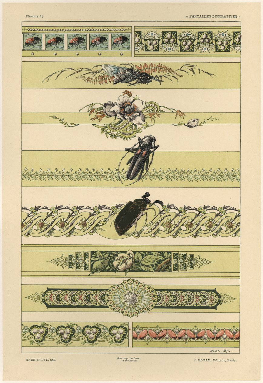 Käfer, Tafel 14 aus 