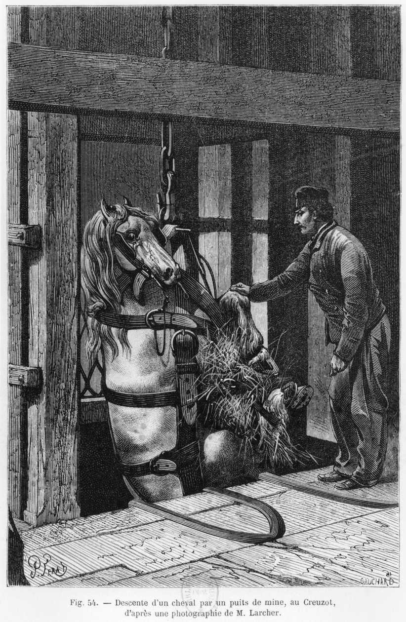 Pferd wird in den Kohleschacht von Le Creusot abgeseilt, Illustration aus 