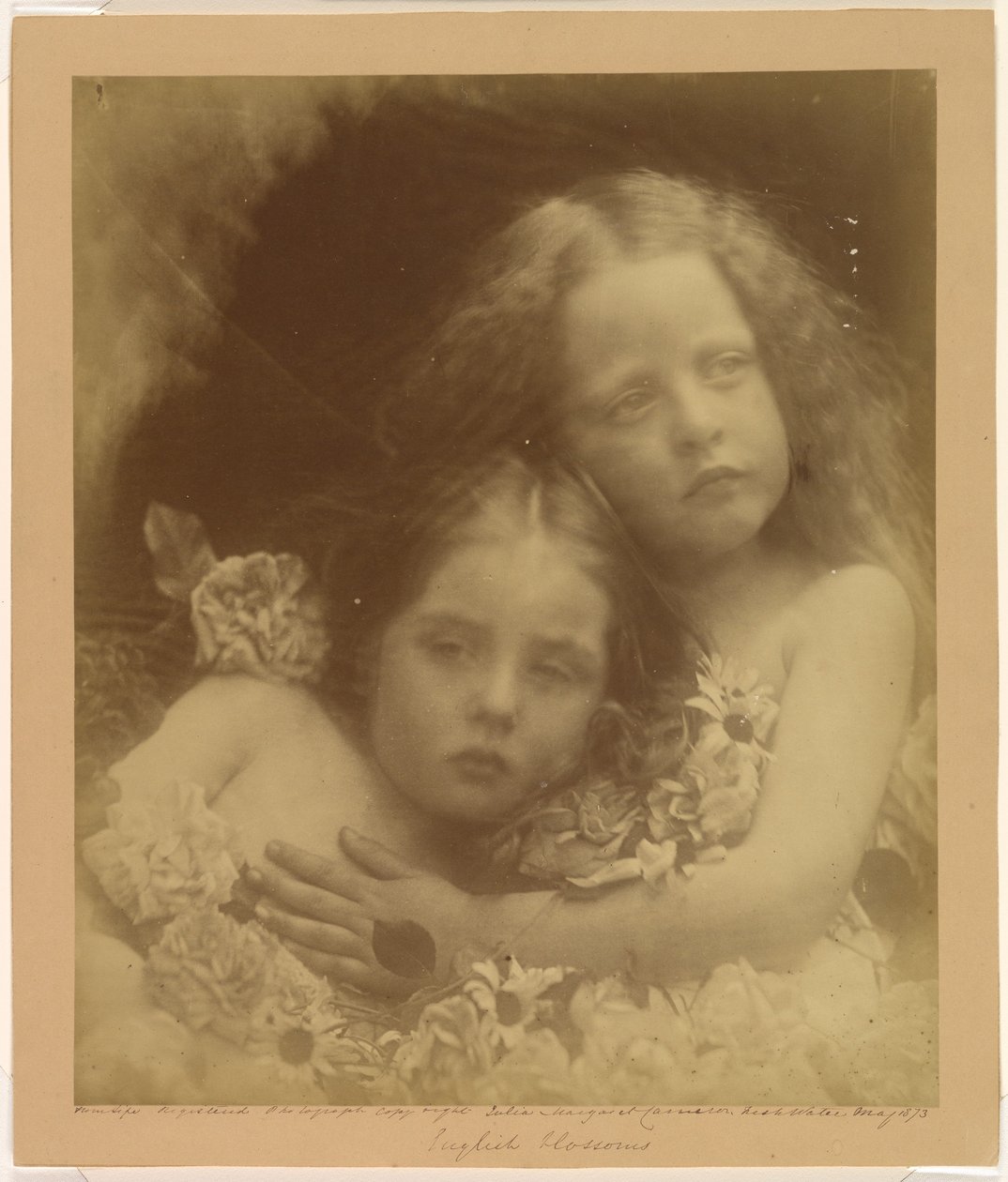 Englische Blüten von Julia Margaret Cameron