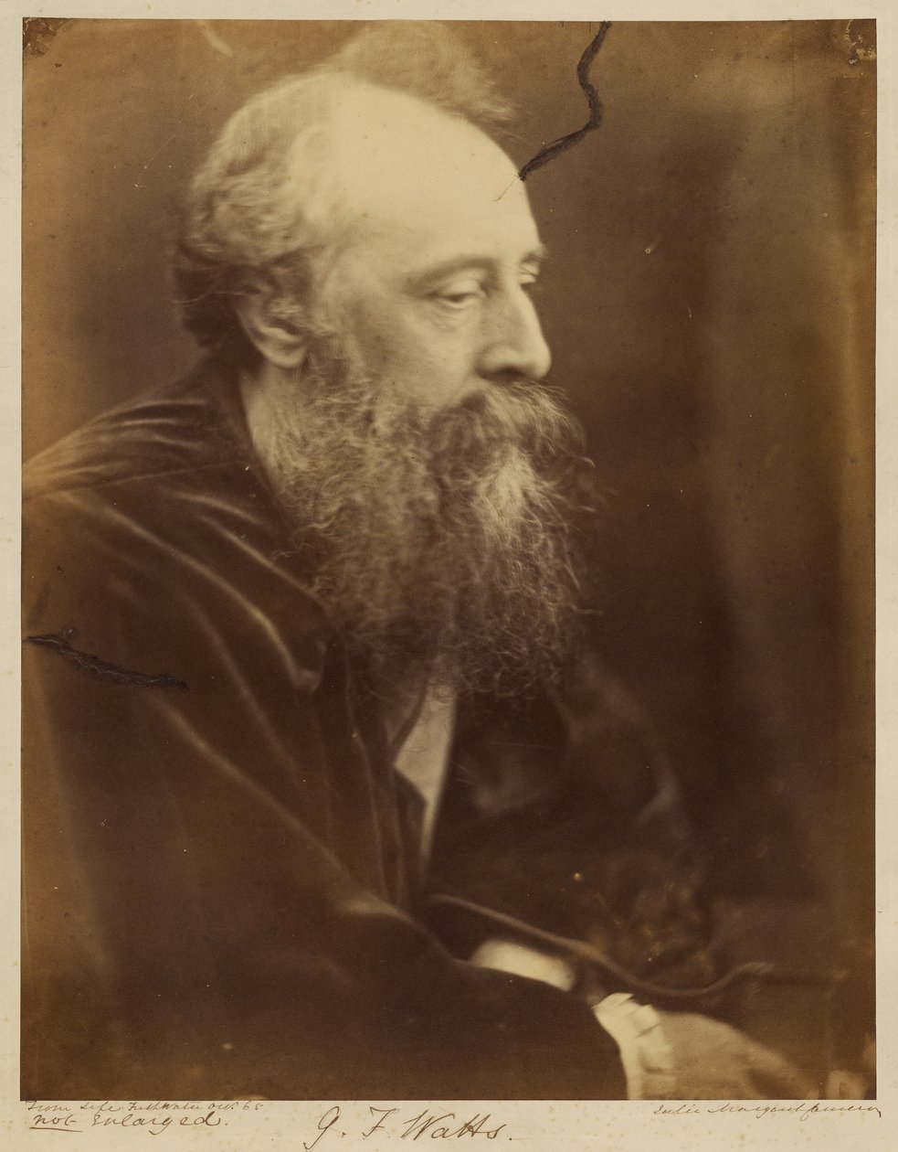 G.F. Watts von Julia Margaret Cameron