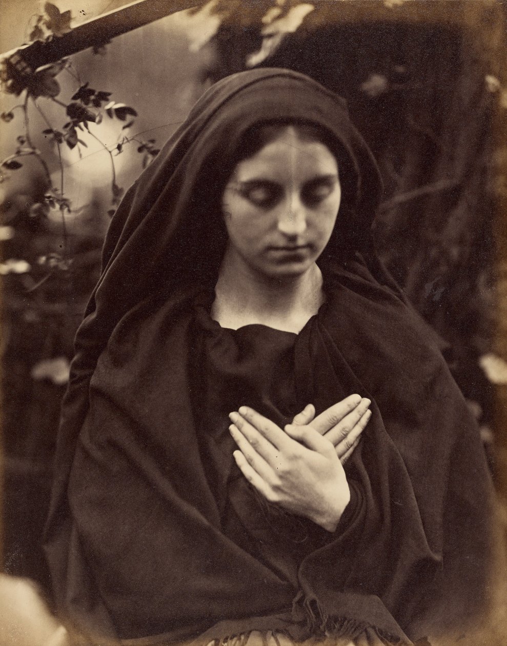 Il Penseroso von Julia Margaret Cameron