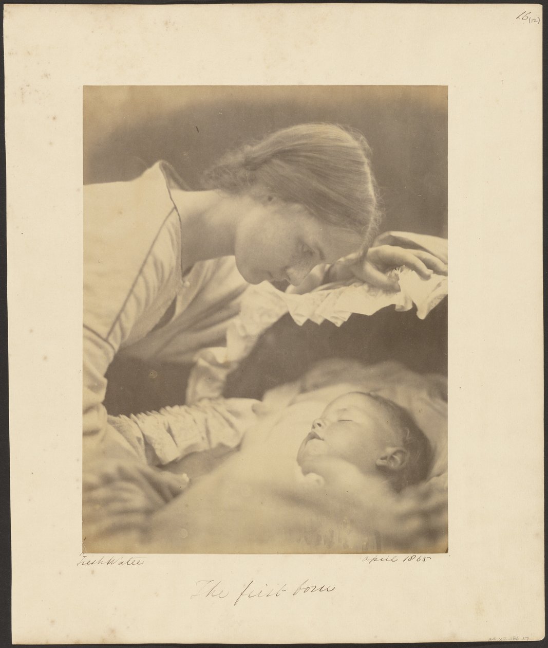 Der Erstgeborene von Julia Margaret Cameron