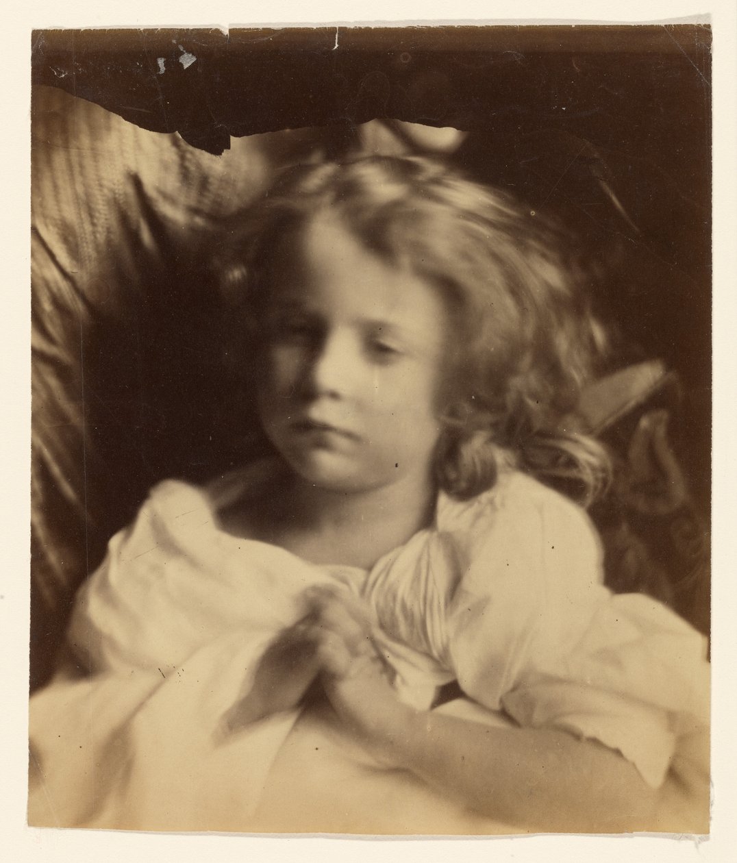 [Willin] von Julia Margaret Cameron