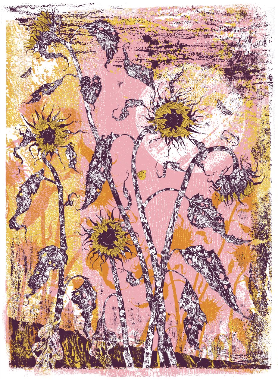 Sohn ohne Sonne Iris, 2016 von julia McKenzie