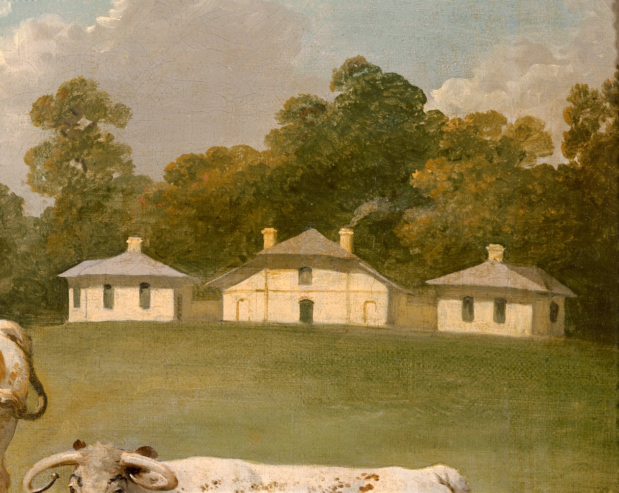 Drei Langhornrinder in der Landschaft (Detail) von Julius Caesar Ibbetson