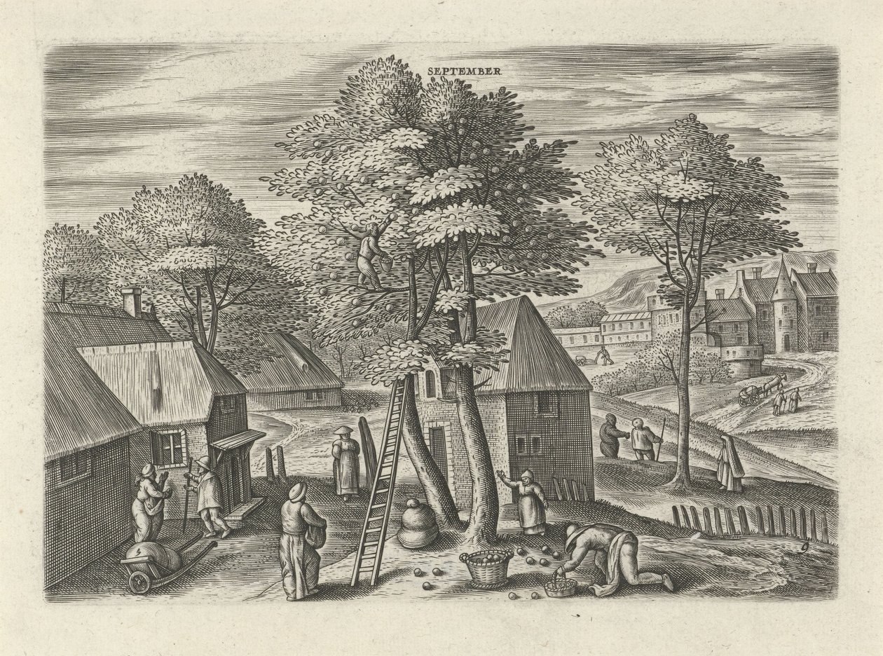 September von Julius Goltzius