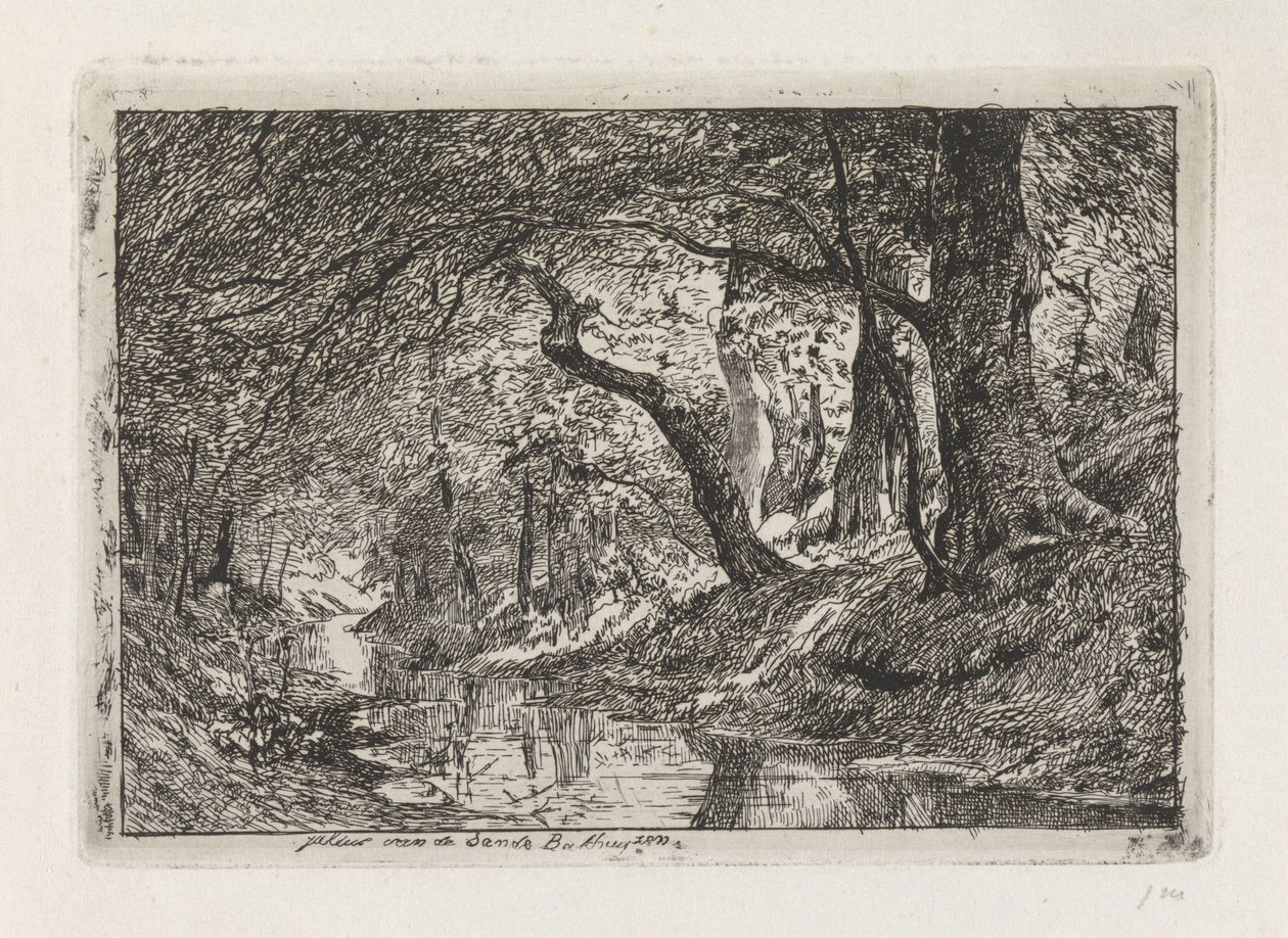 Waldlandschaft mit Bach und Bäumen am Ufer von Julius Jacobus van de Sande Bakhuyzen