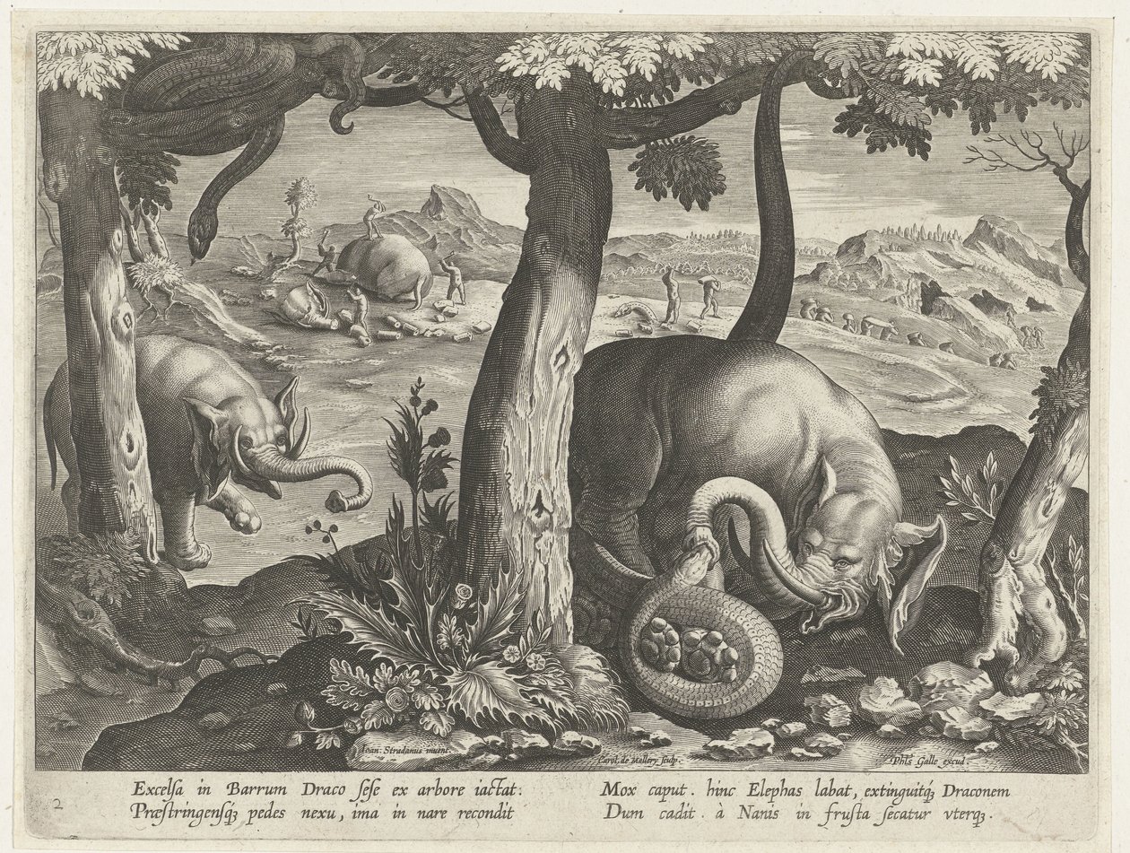 Elefant im Kampf mit Schlange, Jagdszenen (Serientitel) von Karel van Mallery (attributed to)