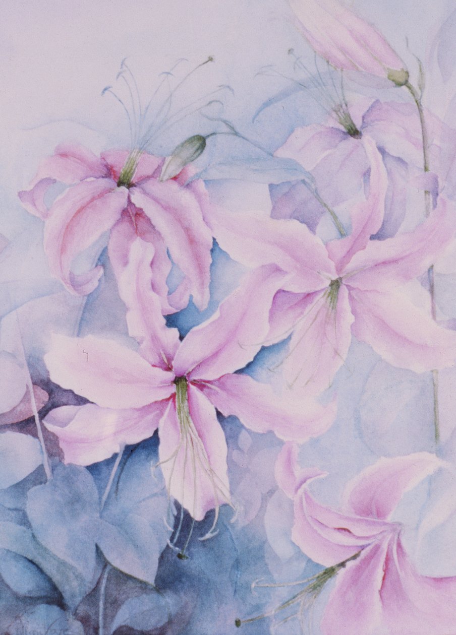 Lilien, rosa Auratum von Karen Armitage