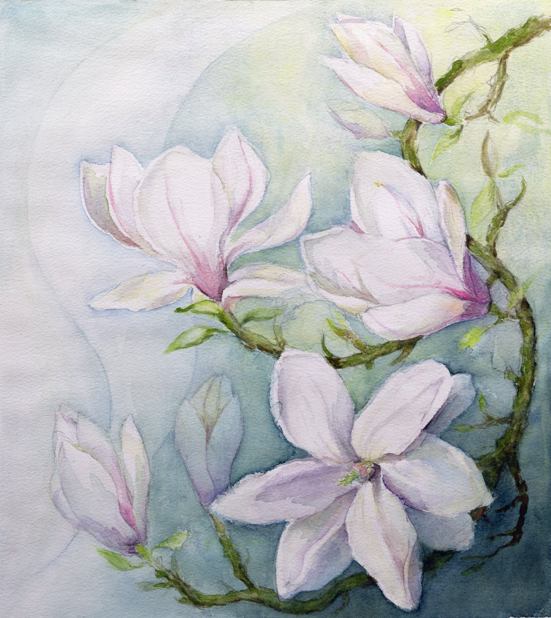 Magnolien von Karen Armitage