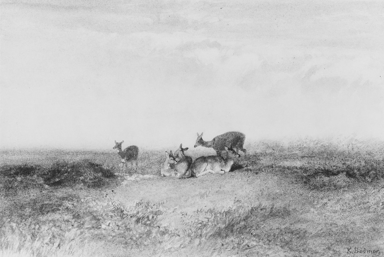 Hirsche in einer Landschaft von Karl Bodmer