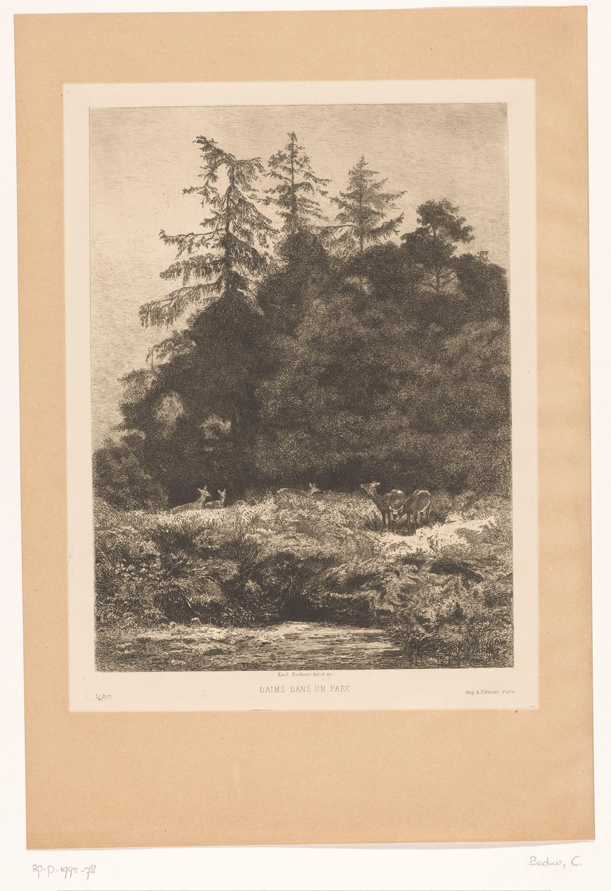Hirsche am Waldrand von Karl Bodmer