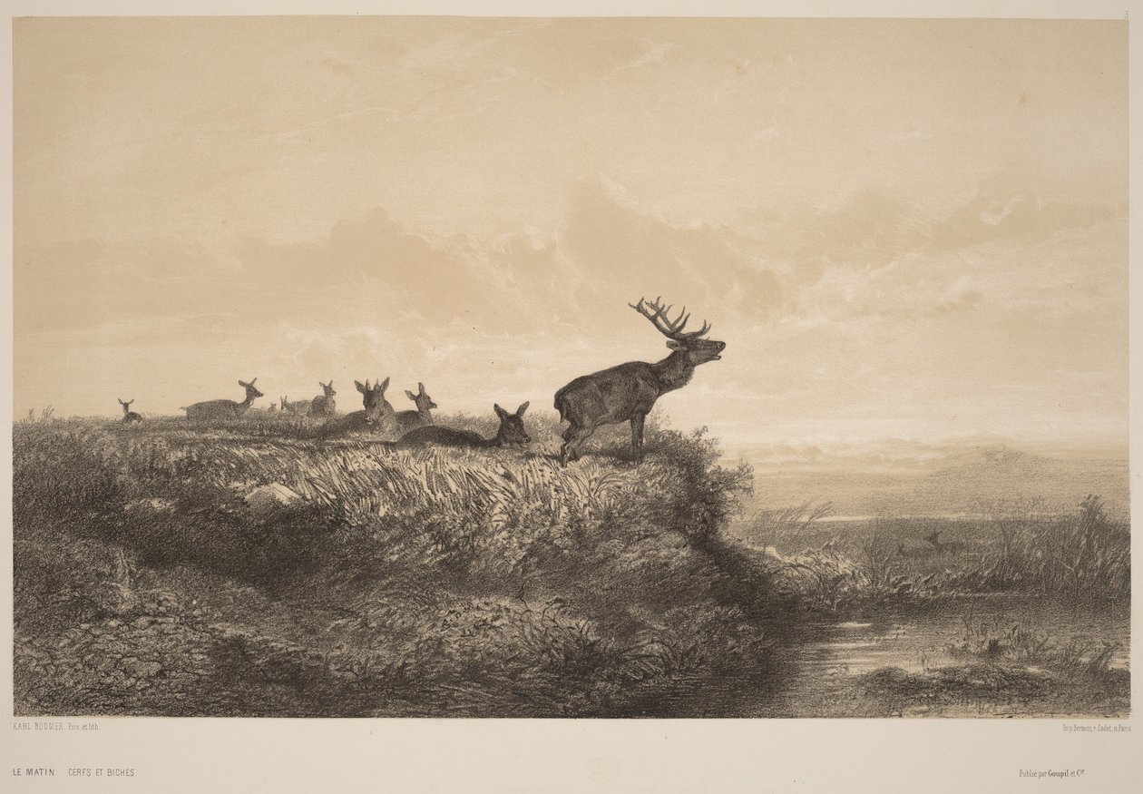 Der Morgen von Karl Bodmer