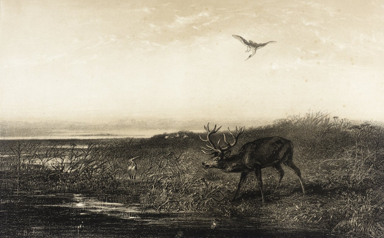 Der Abend: Hirsch und Reiher von Karl Bodmer