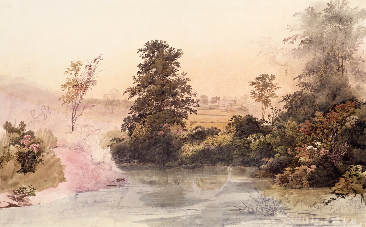 Mahoning Creek, Pennsylvania von Karl Bodmer