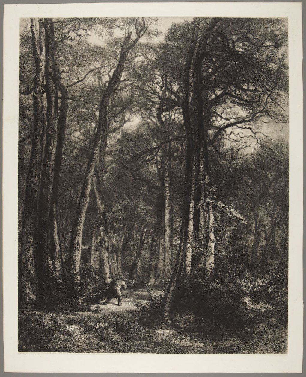 Mann im Wald von Karl Bodmer