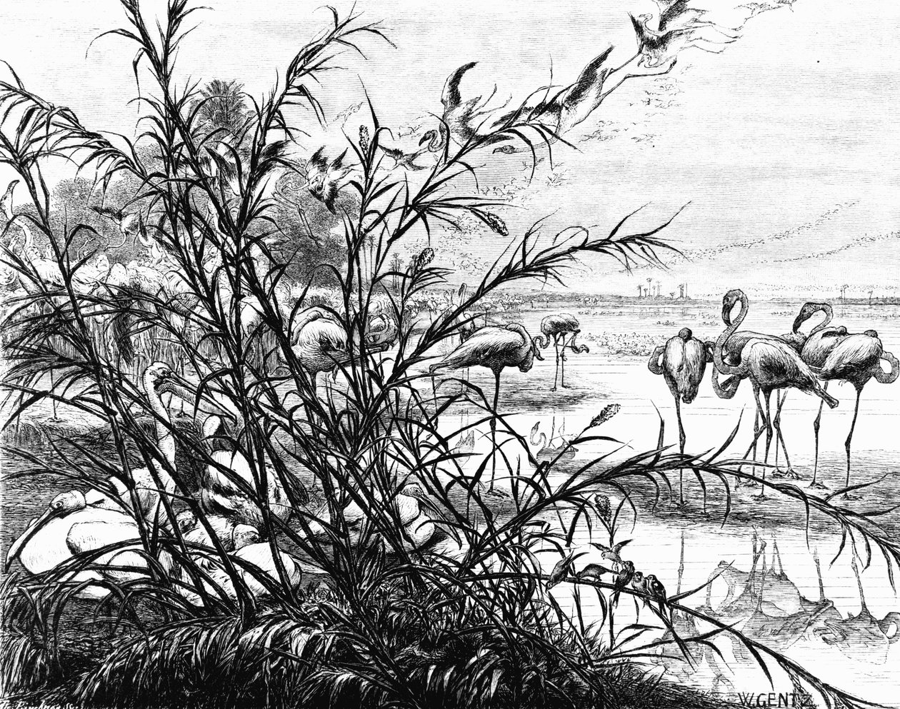 Ein Parlament der Vögel am See Menaleh, 1880 von Karl Wilhelm Gentz