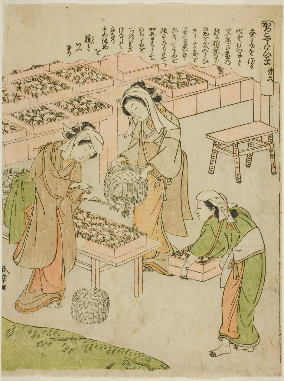 Platte 6 (Untersuchung der neu gesponnenen Kokons), aus der Serie "Kaiko Yashinai-gusa" von Katsukawa Shunsho