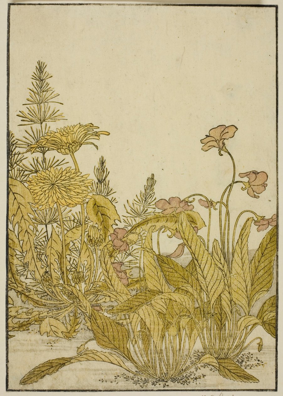Frühlingsblumen: Veilchen und Löwenzahn, aus dem Buch "Spiegel der schönen Frauen der Vergnügungsviertel (Seiro bijin awase sugata kagami)," Bd. 1 von Katsukawa Shunsho