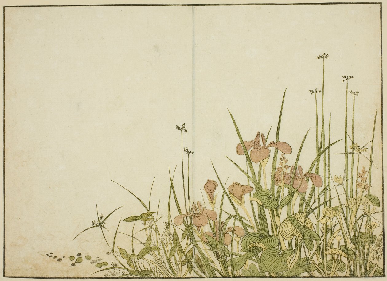 Sommerblumen: Schwertlilien und Wasserpflanzen, aus dem Buch "Spiegel der schönen Frauen der Vergnügungsviertel (Seiro bijin awase sugata kagami)," Bd. 1 von Katsukawa Shunsho