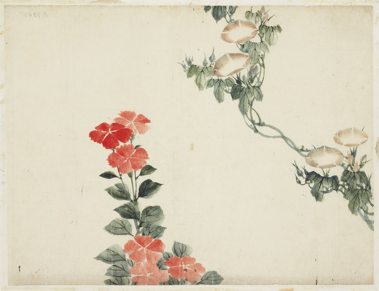 Morgenröte und rote Blumen von Katsushika (school of) Hokusai