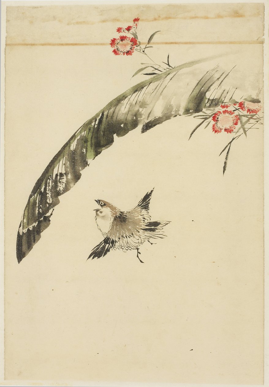 Spatz und Bananenblatt und Nelken von Katsushika (school of) Hokusai