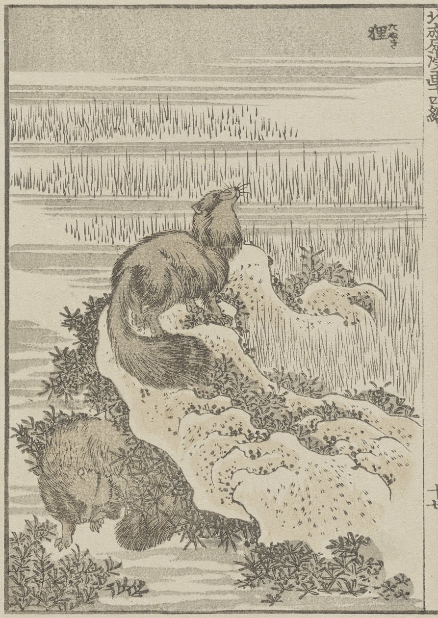 Dachs, um 1840 von Katsushika Hokusai