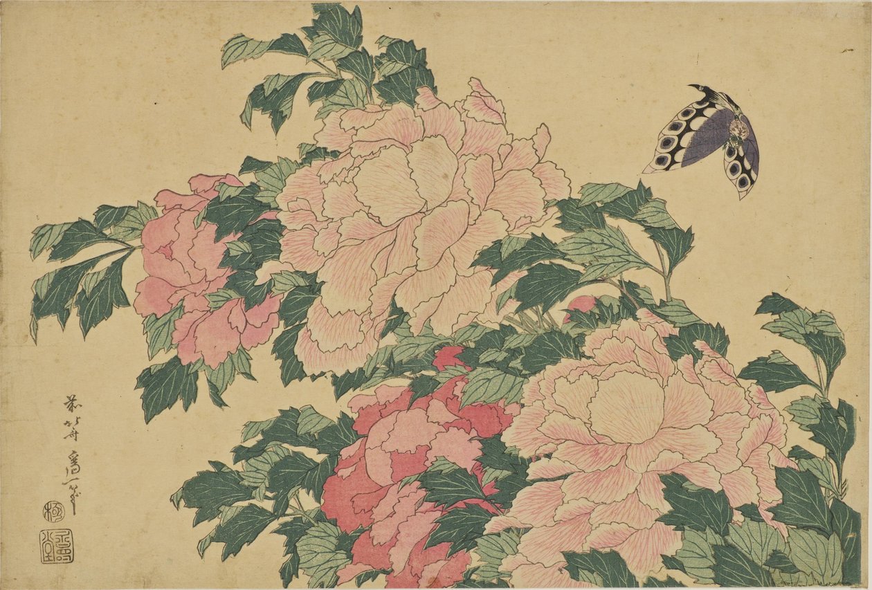 Schmetterling und Pfingstrosen von Katsushika Hokusai