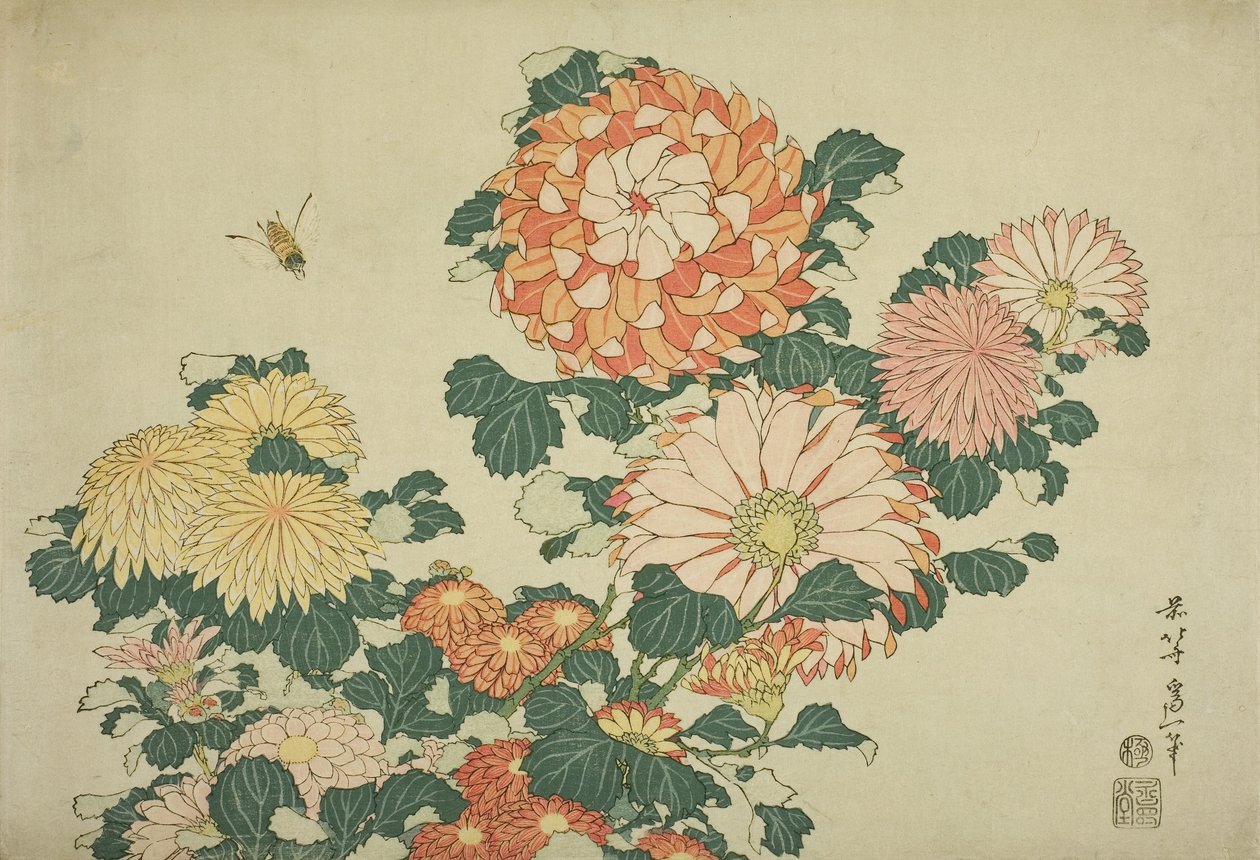 Chrysanthemen und Biene, aus einer unbetitelten Serie großer Blumen, ca. 1833-34 von Katsushika Hokusai