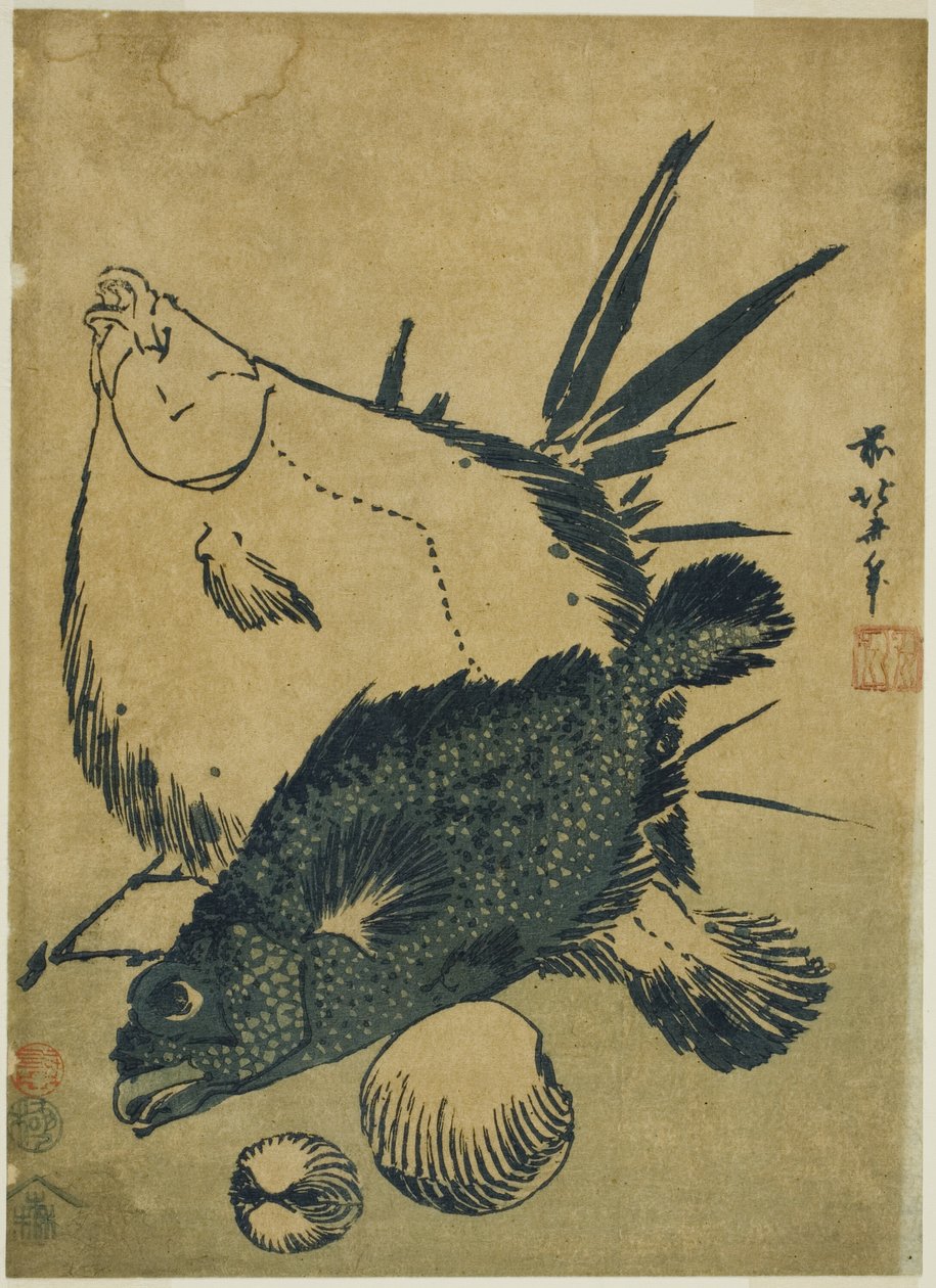 Plattfisch, Skorpionfisch und Muscheln, aus einer unbetitelten Serie von Chuban-Drucken von Katsushika Hokusai