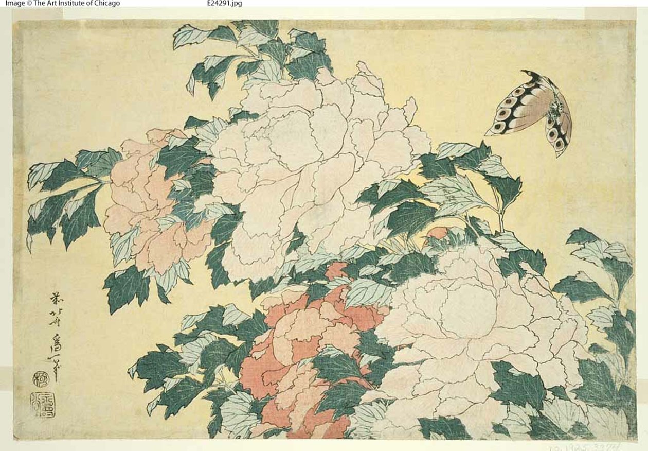 Pfingstrosen und Schmetterling, aus einer unbetitelten Serie großer Blumen von Katsushika Hokusai